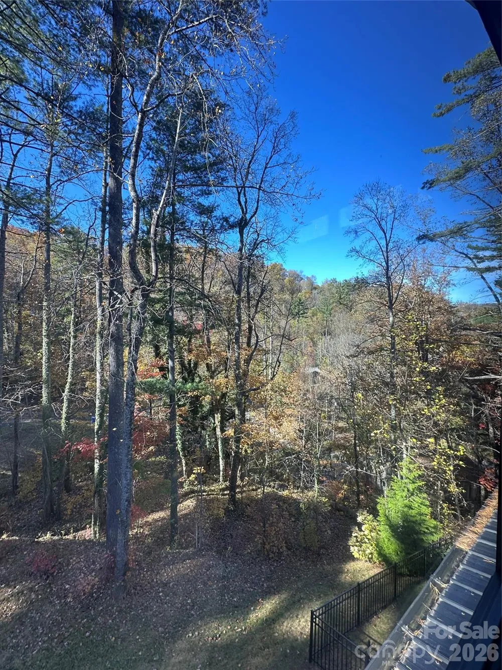 42 Spring Cove Road Asheville, NC 28804