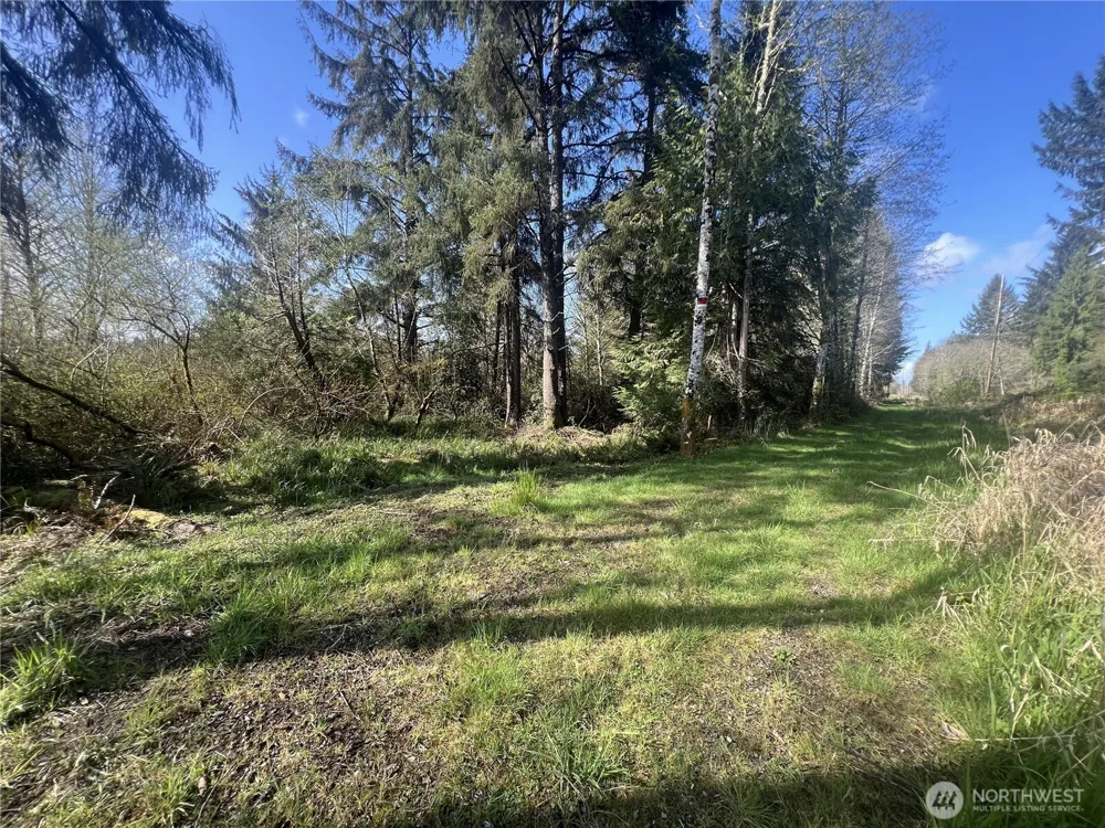 0 3rd St Cosmopolis, WA 98537