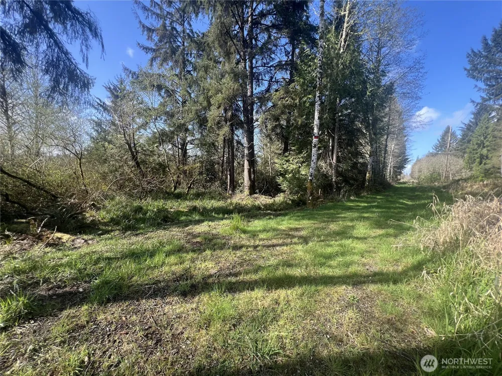 0 3rd St Cosmopolis, WA 98537