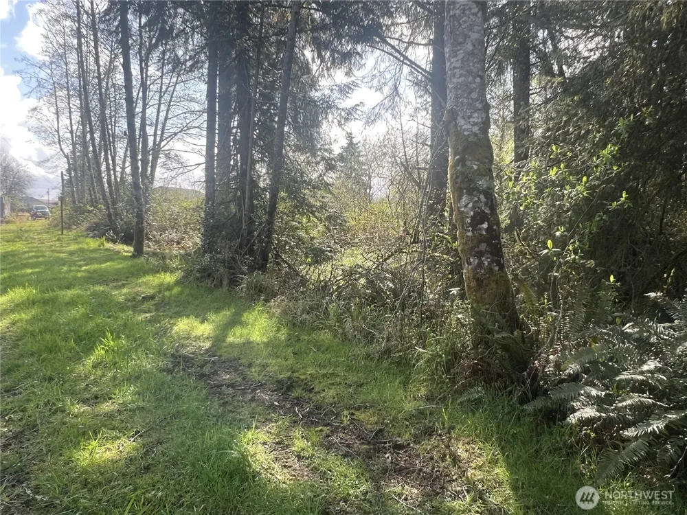 0 3rd St Cosmopolis, WA 98537