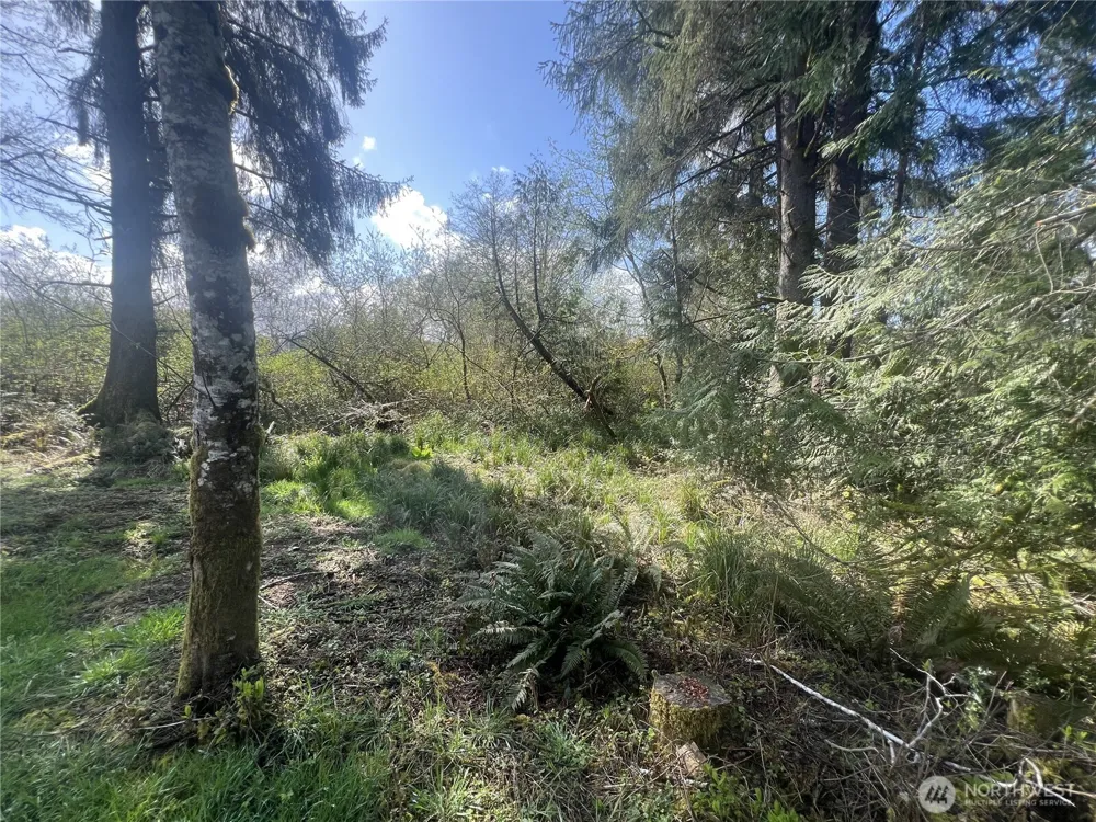 0 3rd St Cosmopolis, WA 98537