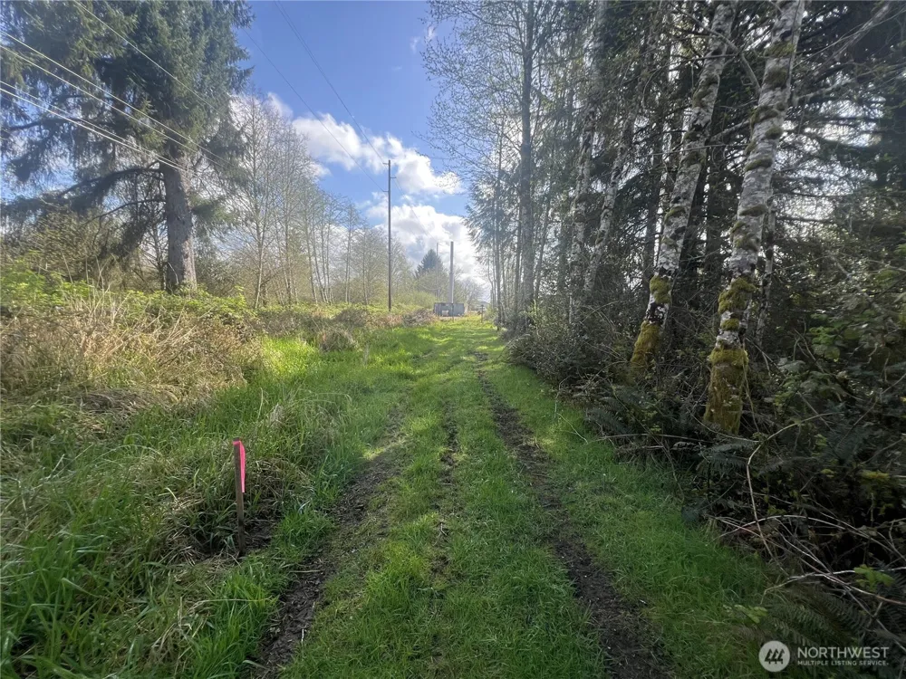 0 3rd St Cosmopolis, WA 98537