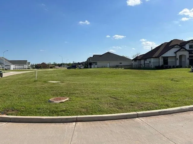 33007 Wicket Court Fulshear, TX 77441