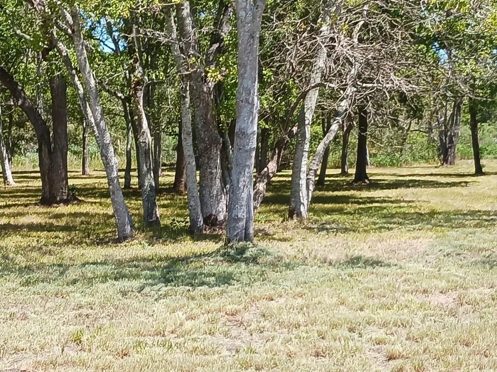 32111 Amberjack Drive Richwood, TX 77515