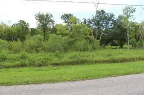 32111 Amberjack Drive Richwood, TX 77515