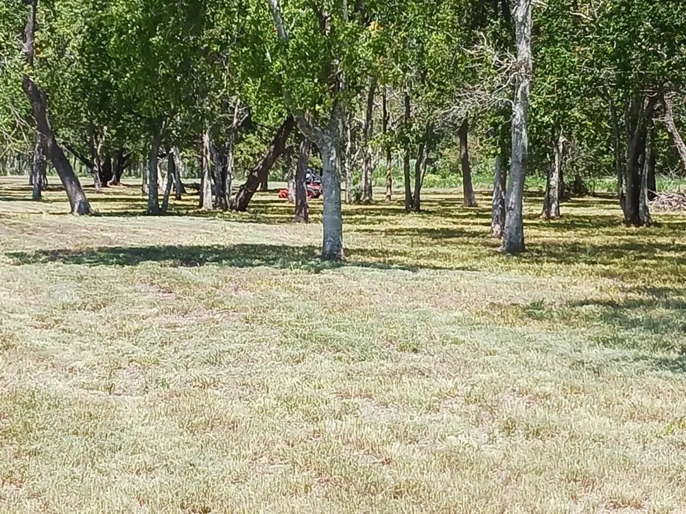 32111 Amberjack Drive Richwood, TX 77515
