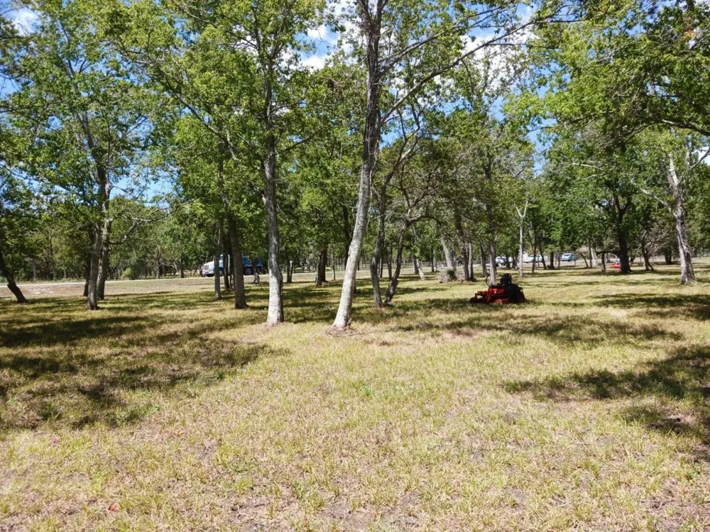 32111 Amberjack Drive Richwood, TX 77515