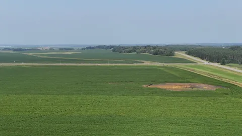 0000 County 61