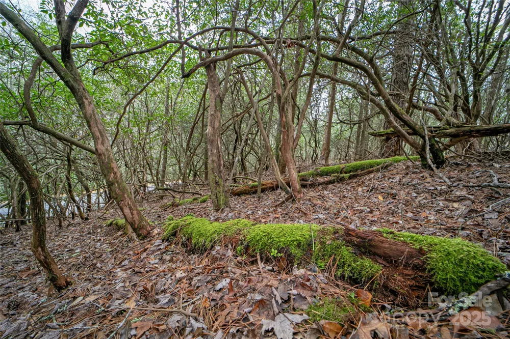 Lot 131 Thunder Road Brevard, NC 28712