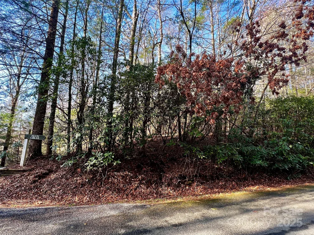 Lot 131 Thunder Road Brevard, NC 28712