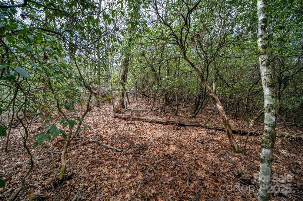 Lot 131 Thunder Road Brevard, NC 28712