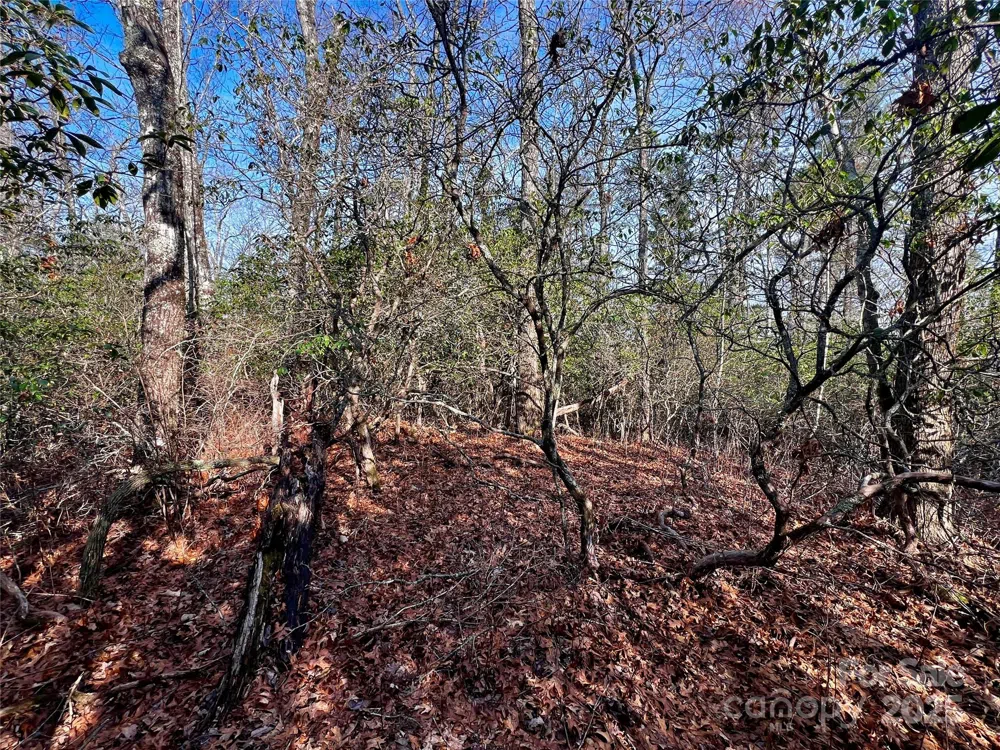 Lot 131 Thunder Road Brevard, NC 28712