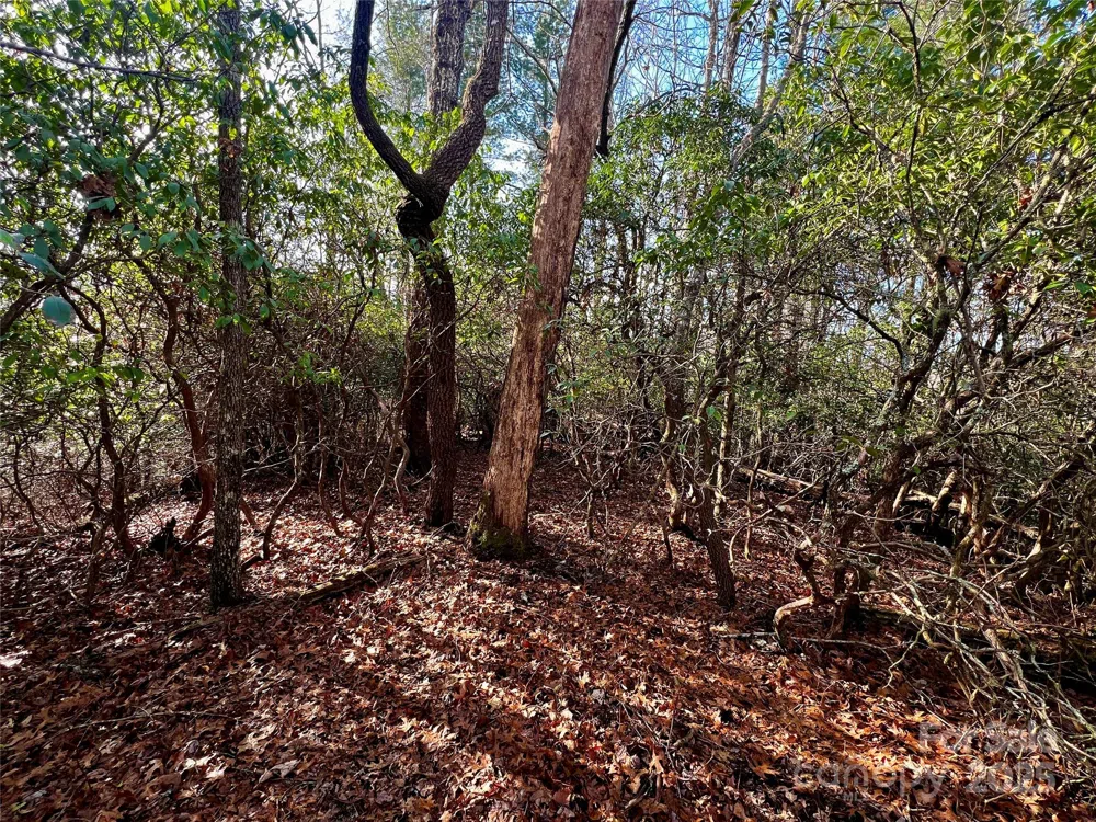 Lot 131 Thunder Road Brevard, NC 28712