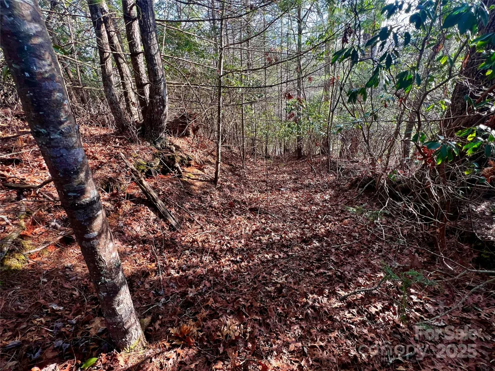 Lot 131 Thunder Road Brevard, NC 28712