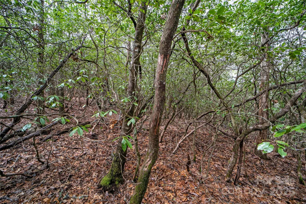 Lot 131 Thunder Road Brevard, NC 28712