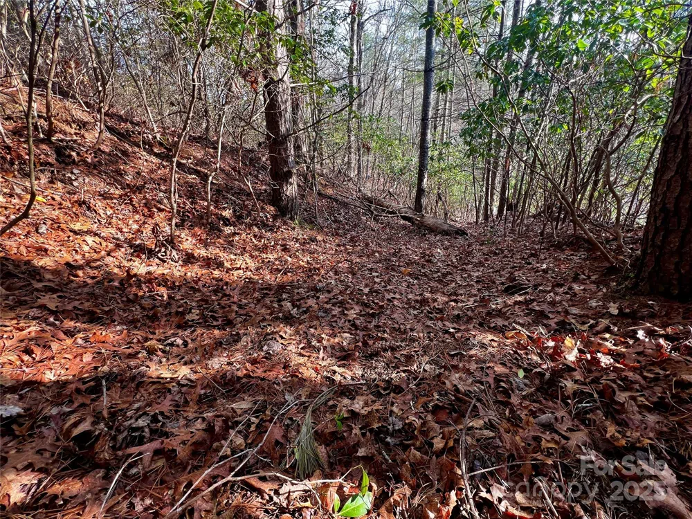Lot 131 Thunder Road Brevard, NC 28712
