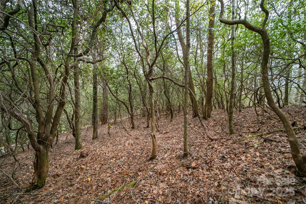 Lot 131 Thunder Road Brevard, NC 28712