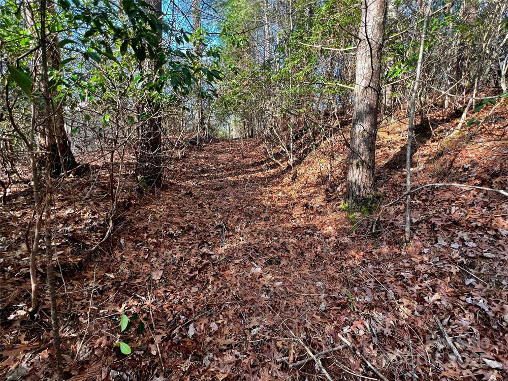 Lot 131 Thunder Road Brevard, NC 28712