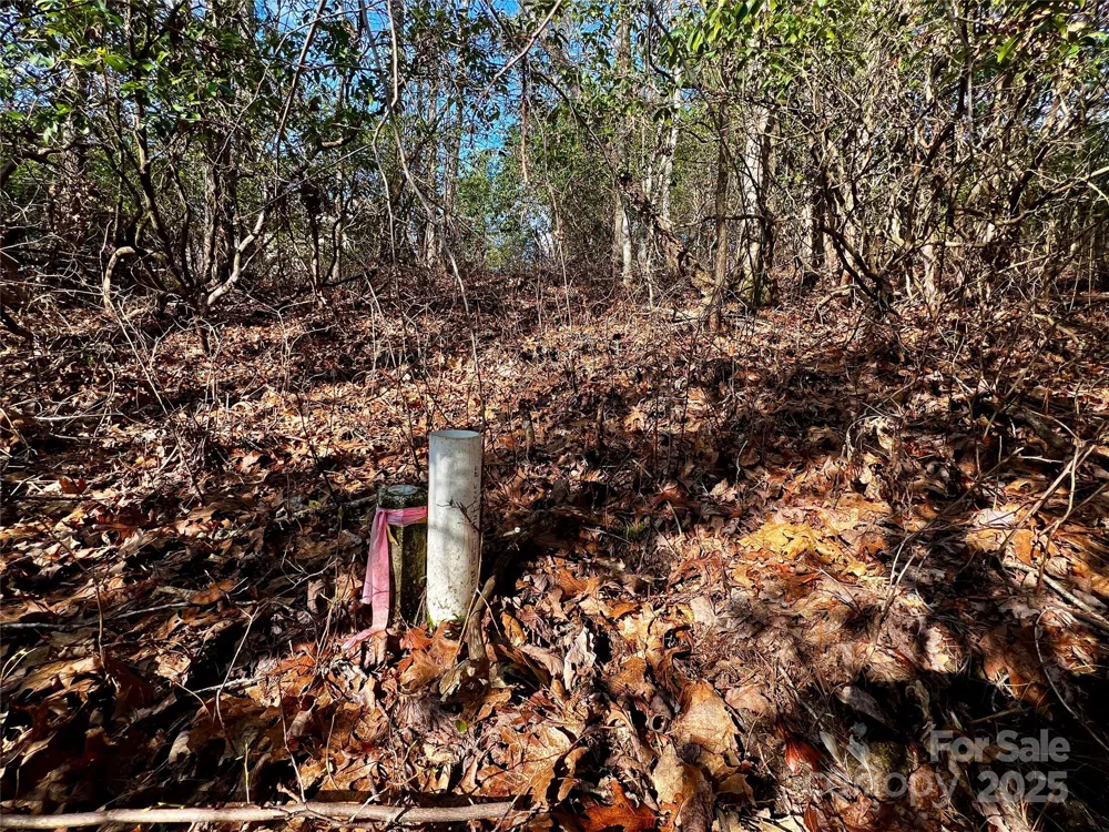 Lot 131 Thunder Road Brevard, NC 28712