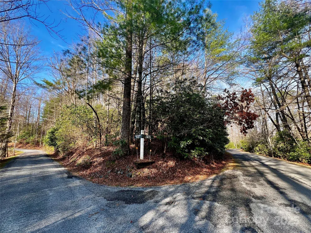 Lot 131 Thunder Road Brevard, NC 28712