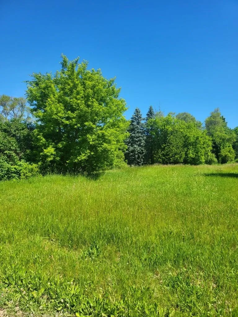 4957 E Valley Road Union Charter Township, MI 48858