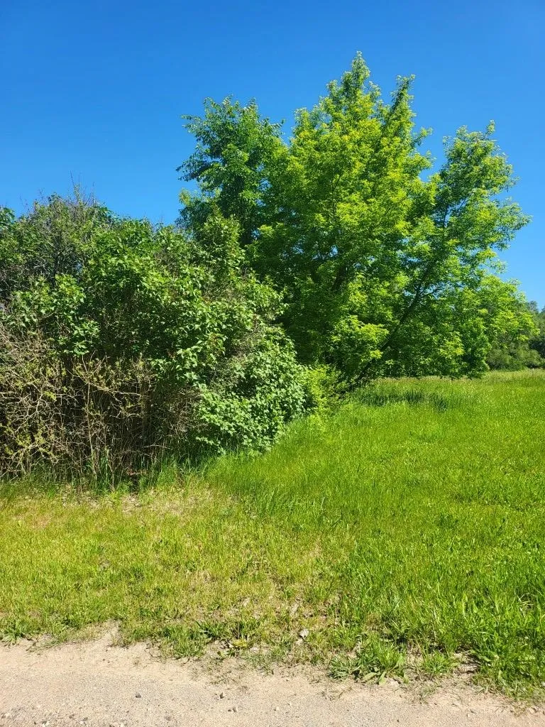 4957 E Valley Road Union Charter Township, MI 48858