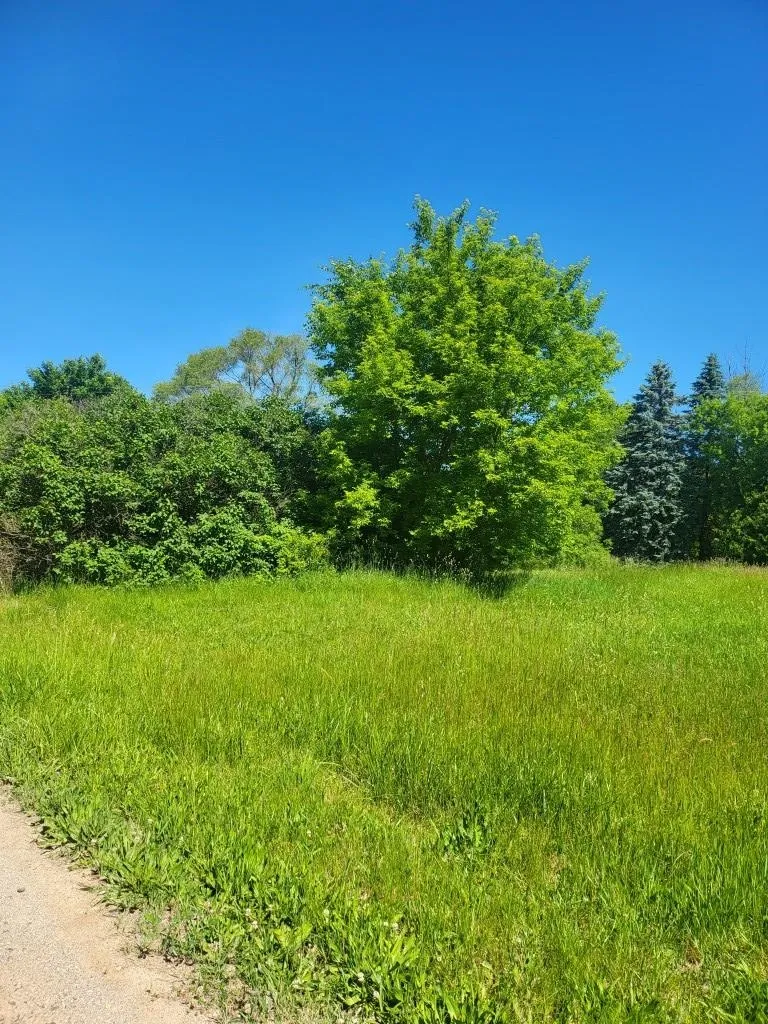 4957 E Valley Road Union Charter Township, MI 48858