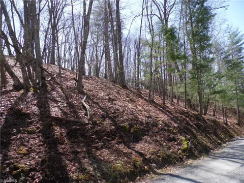 #31 & #32 Happy Ridge Road