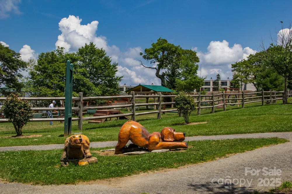 301 Pinnacle Inn Road #3130 Beech Mountain, NC 28604