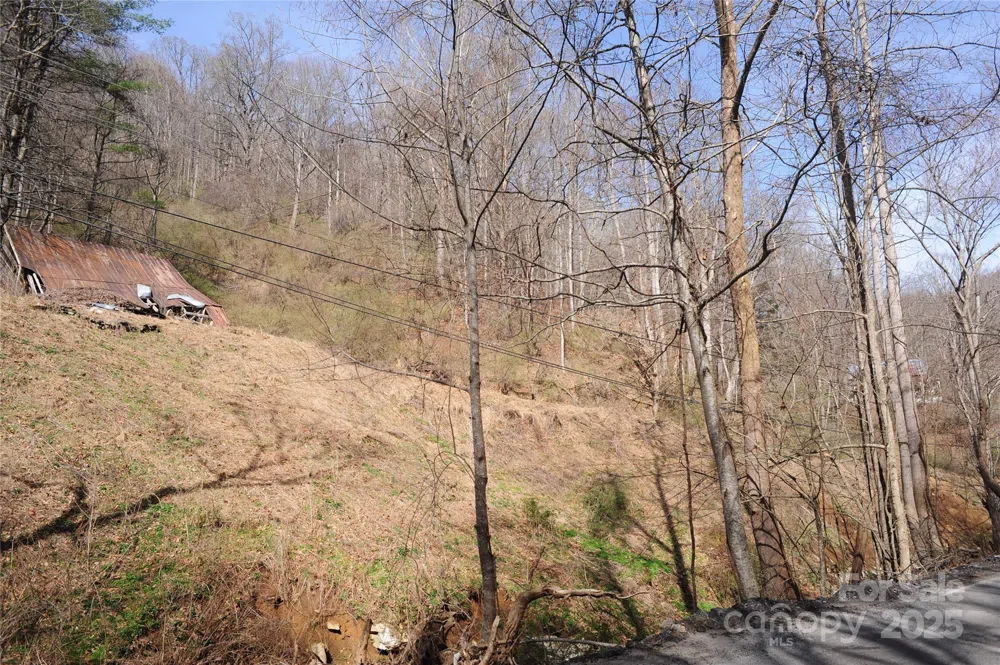 00 Coxes Creek Road Burnsville, NC 28714