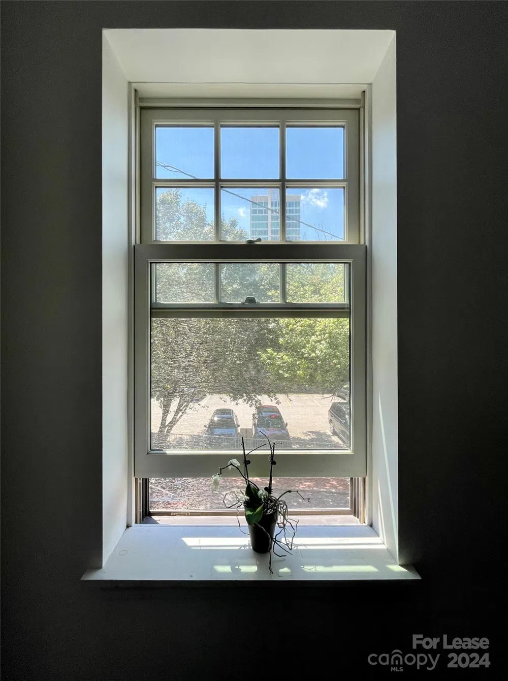 5 W Walnut Street #201 Asheville, NC 28801