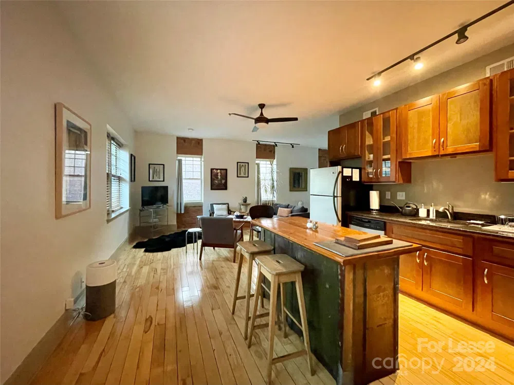 5 W Walnut Street #201 Asheville, NC 28801