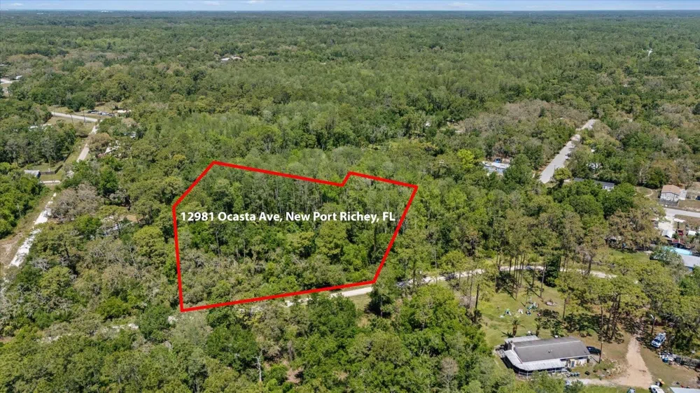 12914 MIDVALE AVENUE New Port Richey, FL 34654