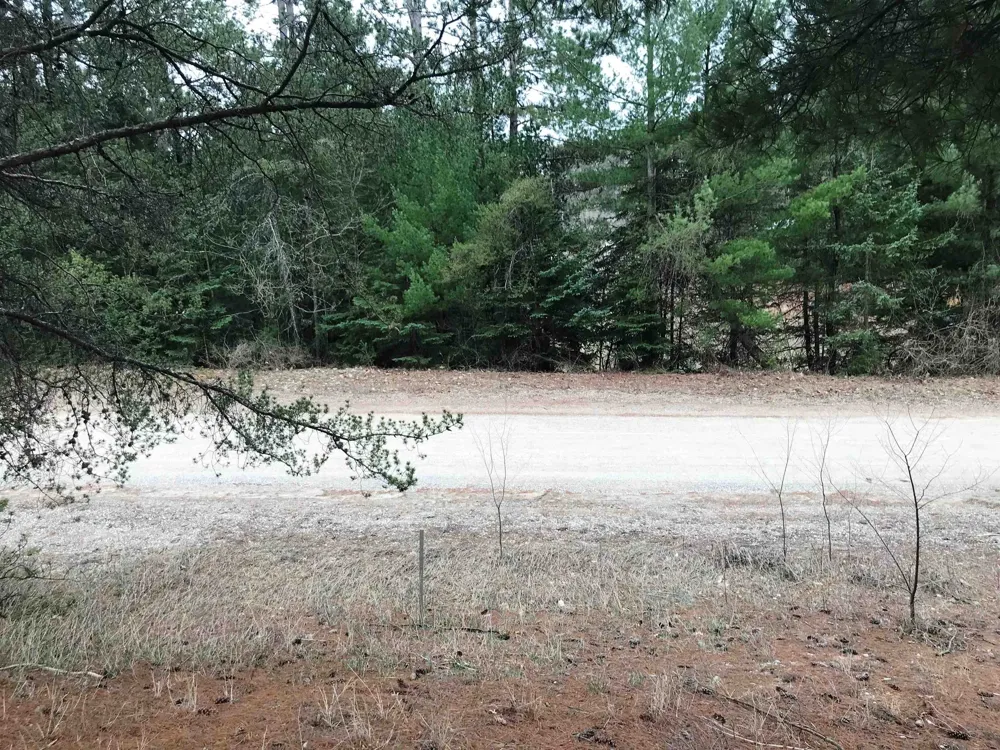 Howard Street Springville Township, MI 49668