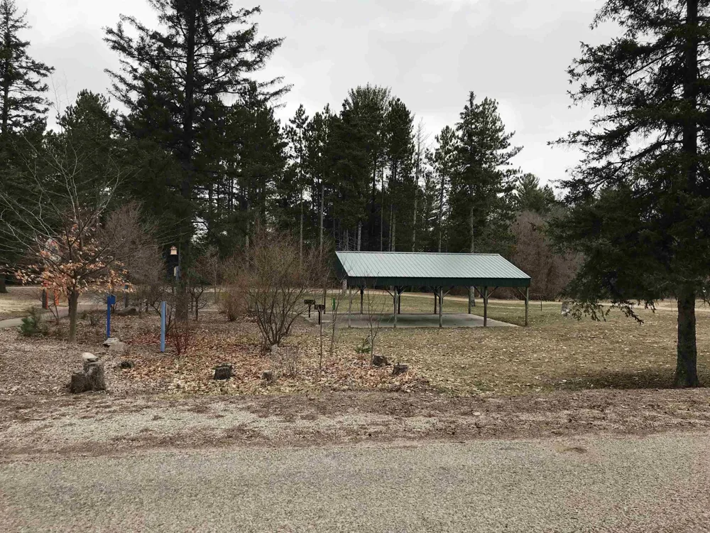 Howard Street Springville Township, MI 49668