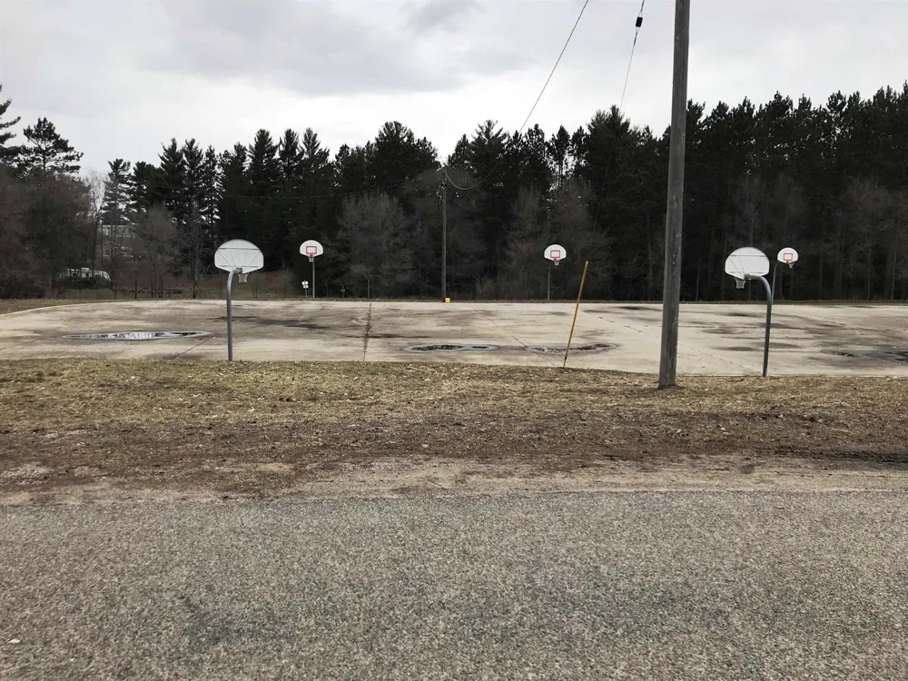 Howard Street Springville Township, MI 49668