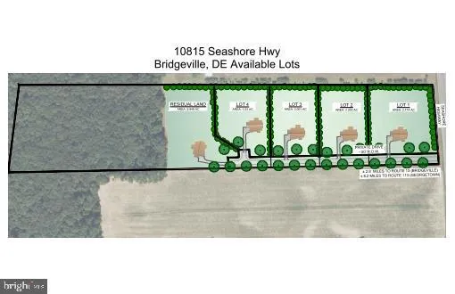 SEASHORE HIGHWAY Bridgeville, DE 19933