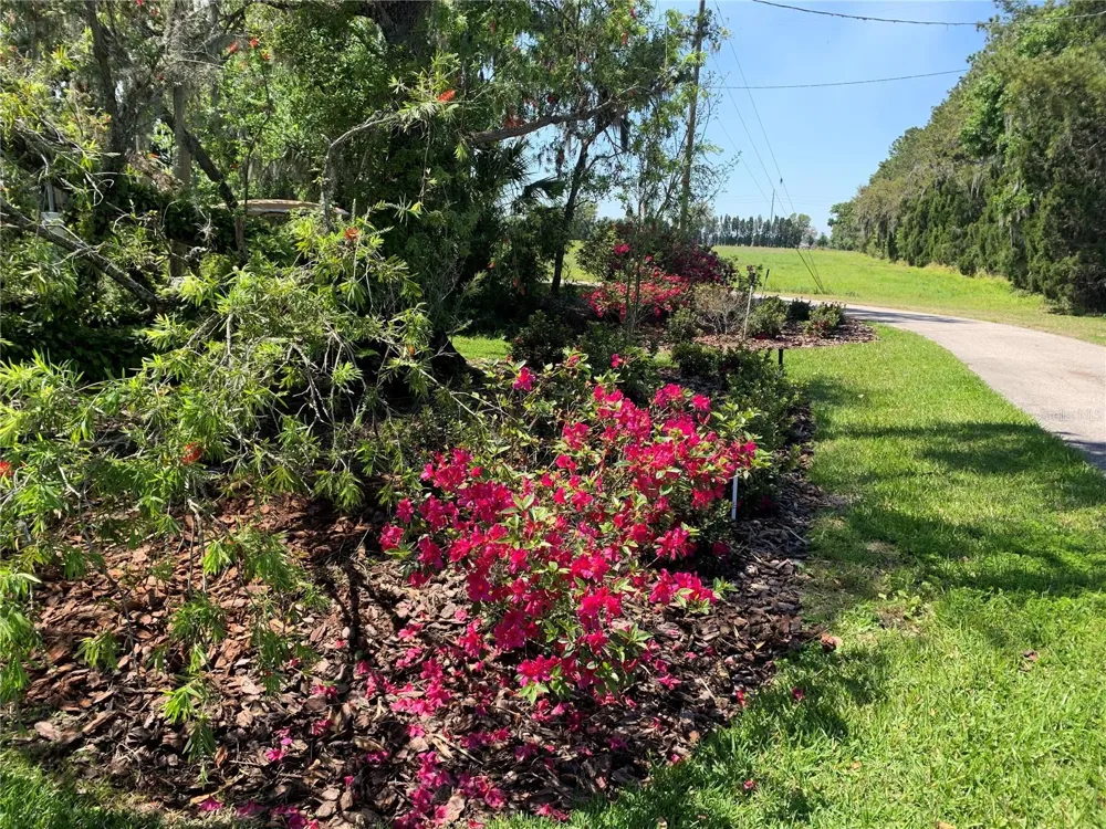 701 E 60 HIGHWAY Plant City, FL 33567