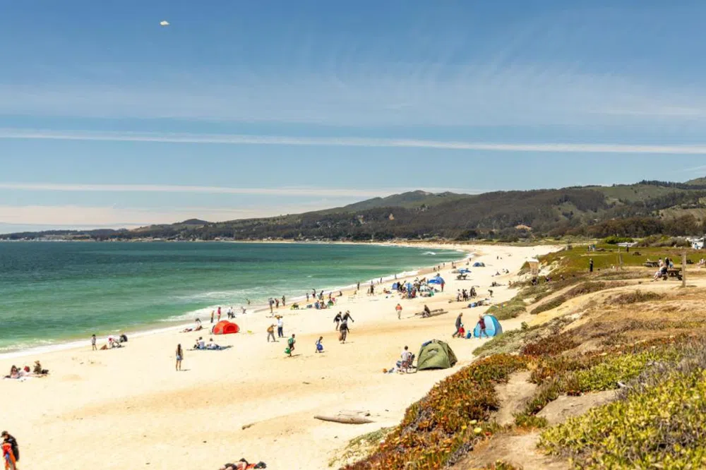 628 Alsace Loraine Avenue Half Moon Bay, CA 94019