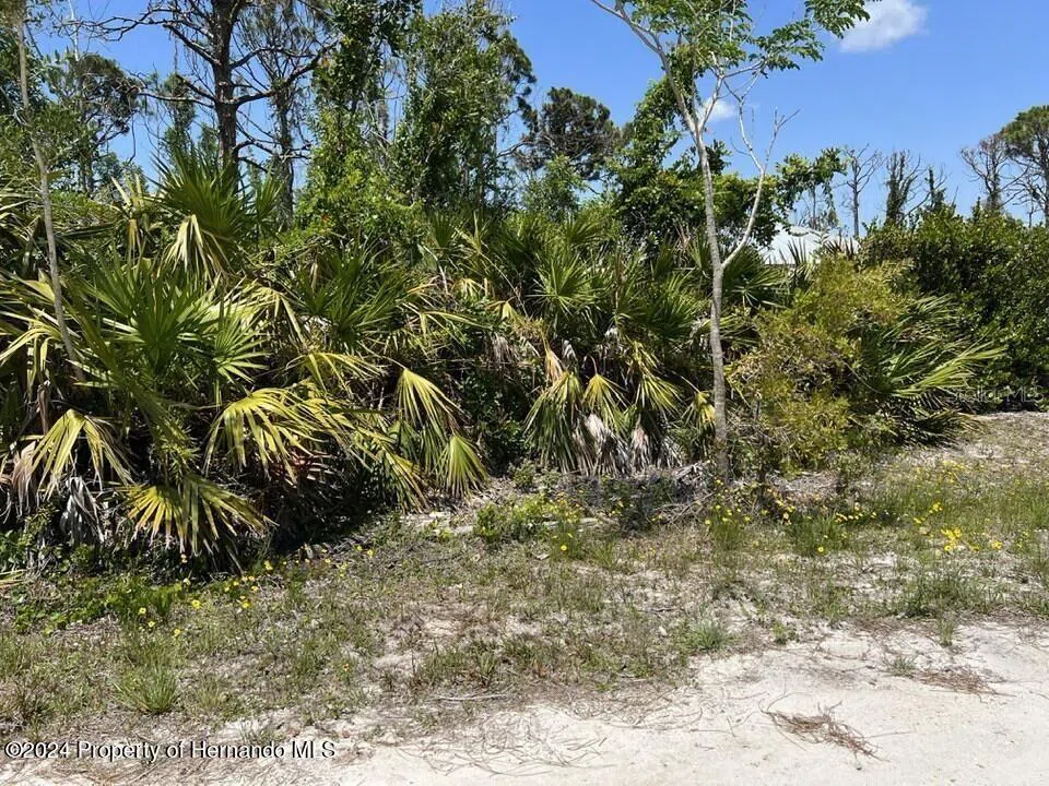 3714 MYERS LANE St James City, FL 33956
