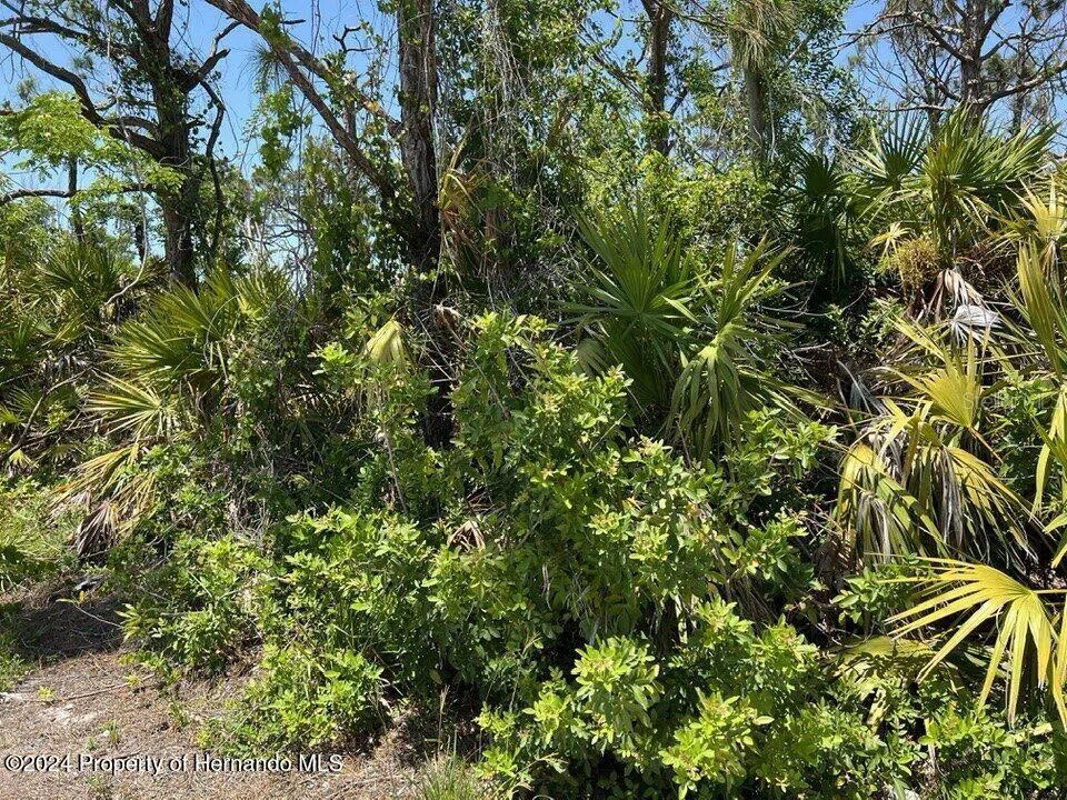 3714 MYERS LANE St James City, FL 33956