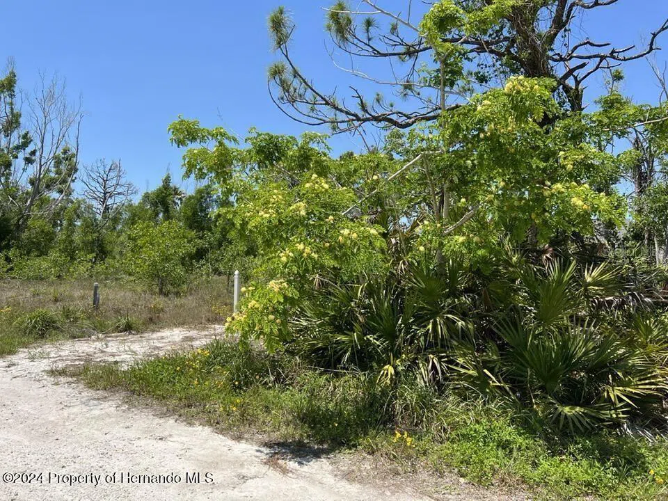 3714 MYERS LANE St James City, FL 33956