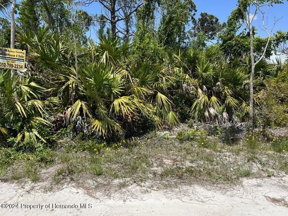 3714 MYERS LANE St James City, FL 33956