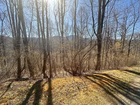00 Village View