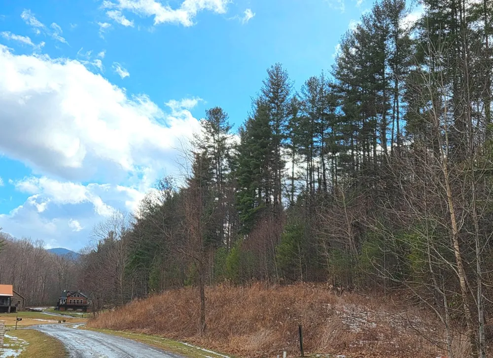 Shining Rock Dr Canton, NC 28716