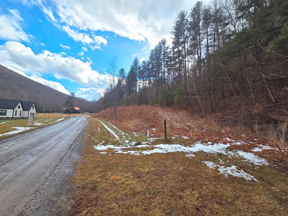 Shining Rock Dr Canton, NC 28716