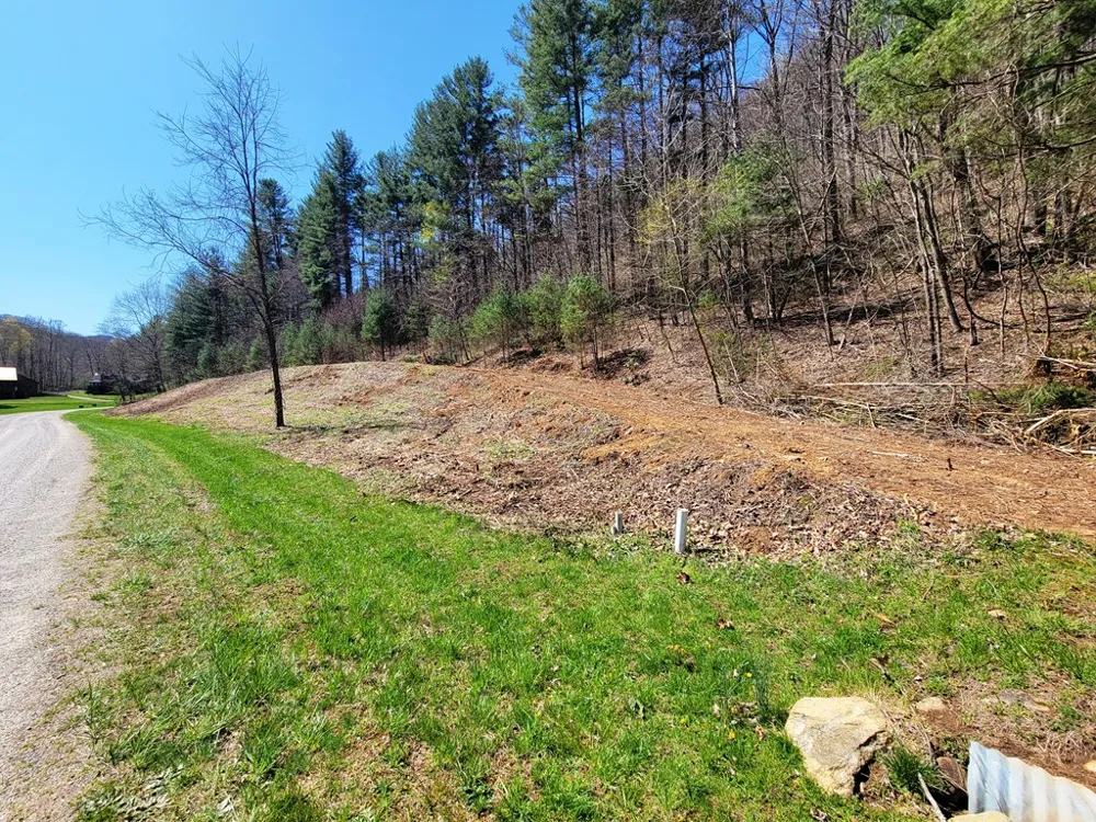 Shining Rock Dr Canton, NC 28716