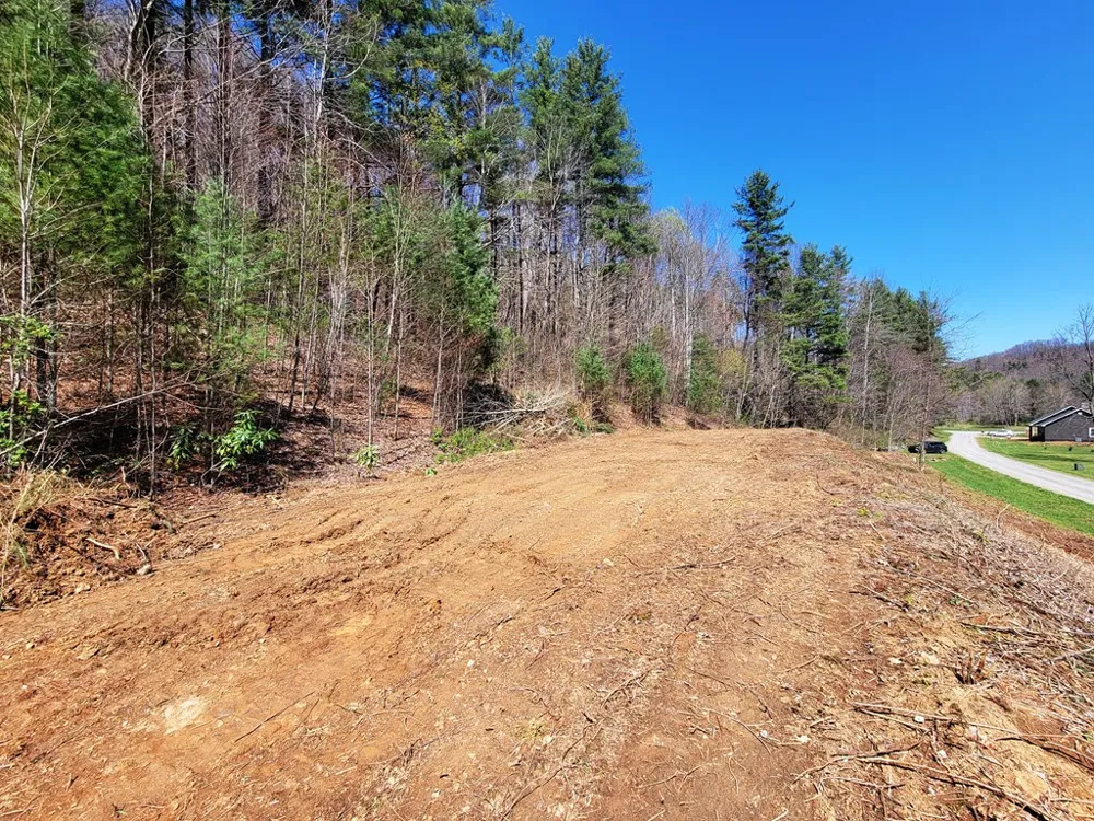 Shining Rock Dr Canton, NC 28716