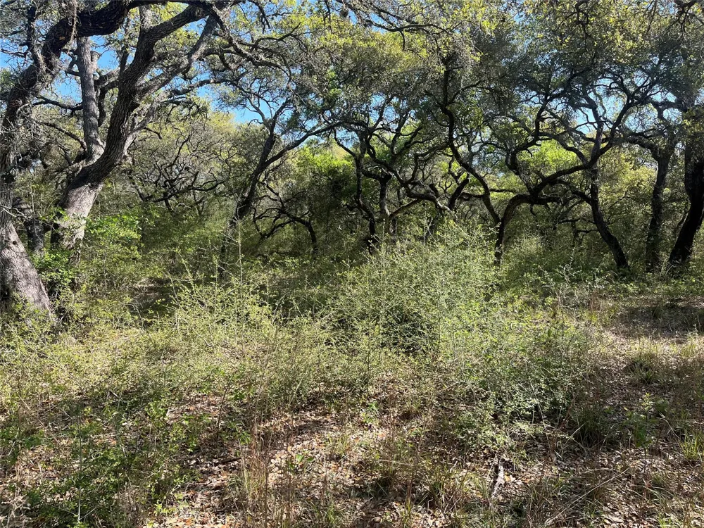 County Road 120 Hallettsville, TX 77964