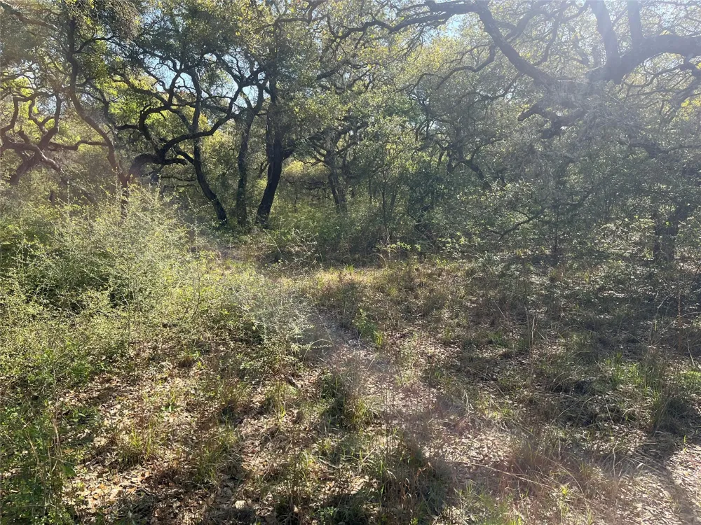 County Road 120 Hallettsville, TX 77964